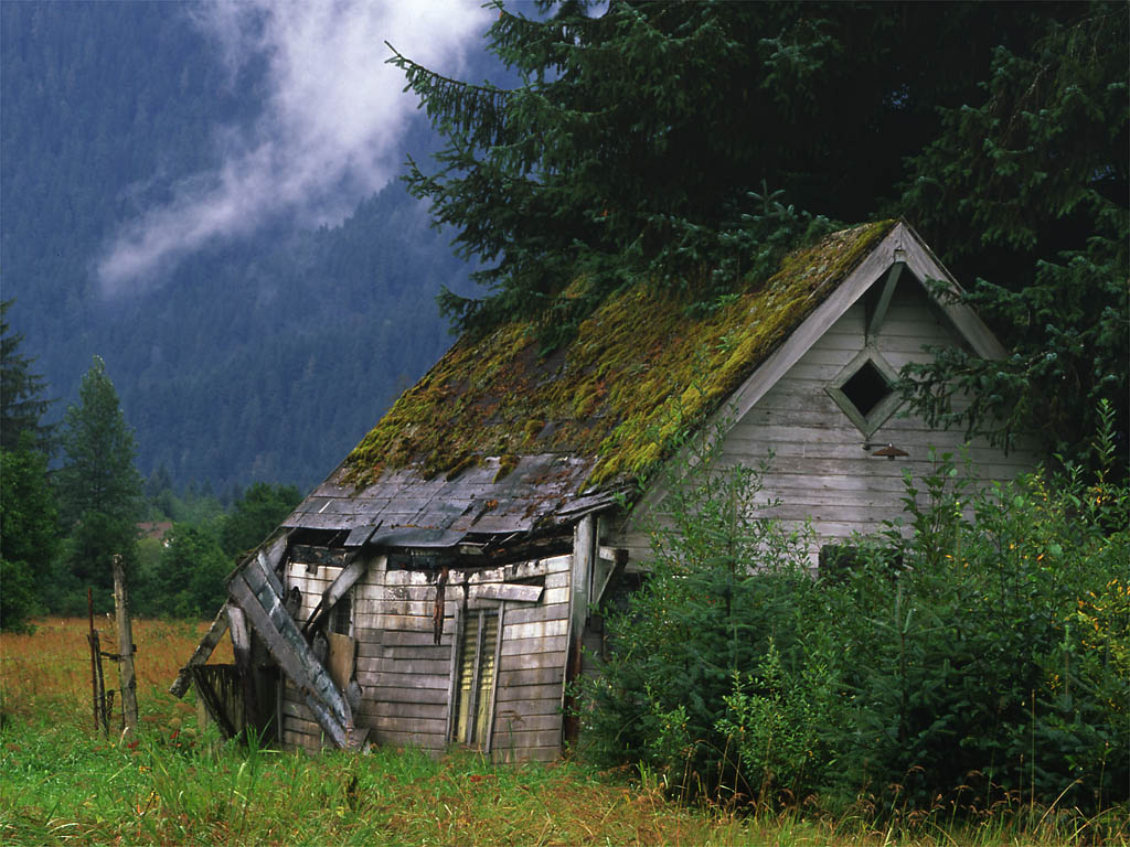 shed.jpg
